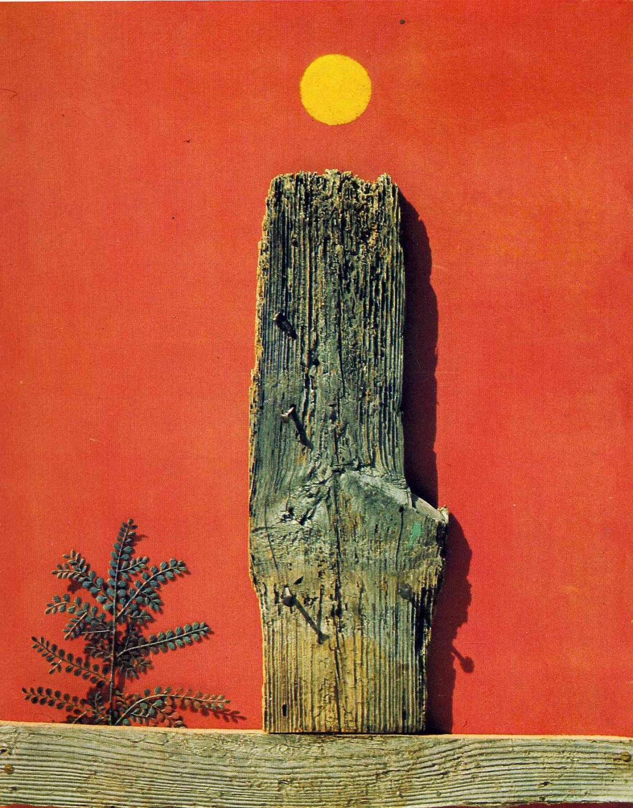 Max+Ernst-1891-1976 (69).jpg
